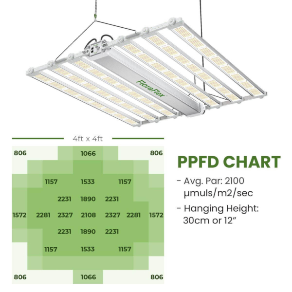 LED Light | 1200W Series | 6-Bar | - Image 2