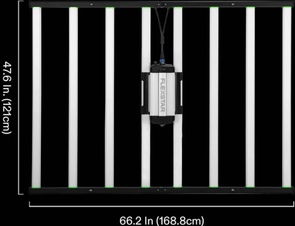 FLEXSTAR 800W Pro 4 x 6