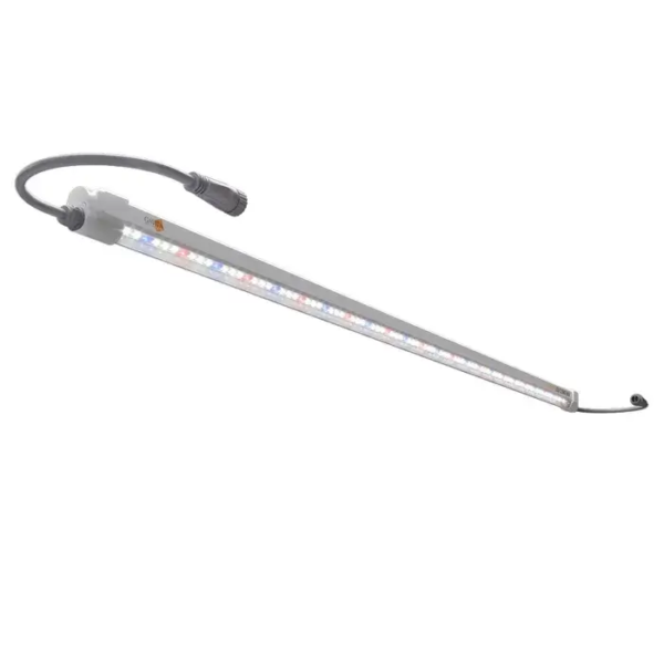 Gavita LED Clone Bar 120-277V